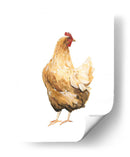 Pollo De Otoño Iii - Emma Scarvey | Cuadro decorativo de Canvas Lab