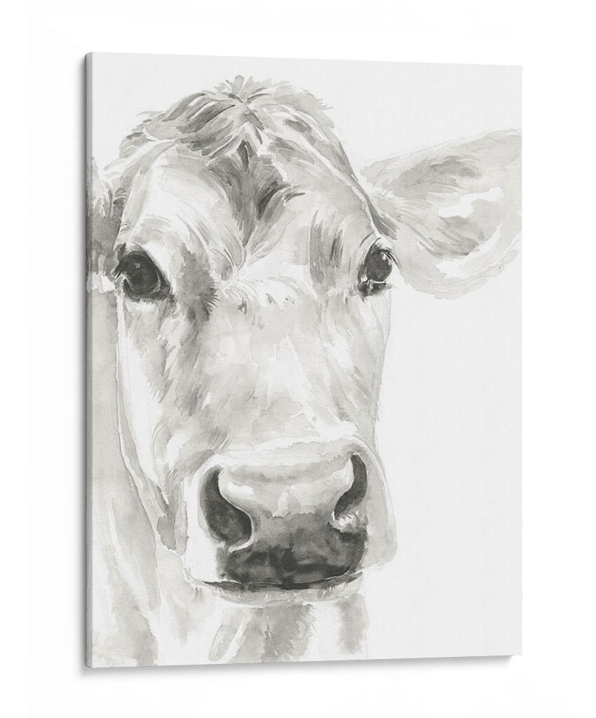 Caras De Granja I - Jennifer Paxton Parker | Cuadro decorativo de Canvas Lab