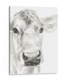 Caras De Granja I - Jennifer Paxton Parker | Cuadro decorativo de Canvas Lab