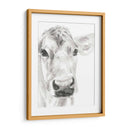 Caras De Granja I - Jennifer Paxton Parker | Cuadro decorativo de Canvas Lab