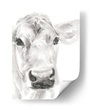 Caras De Granja I - Jennifer Paxton Parker | Cuadro decorativo de Canvas Lab