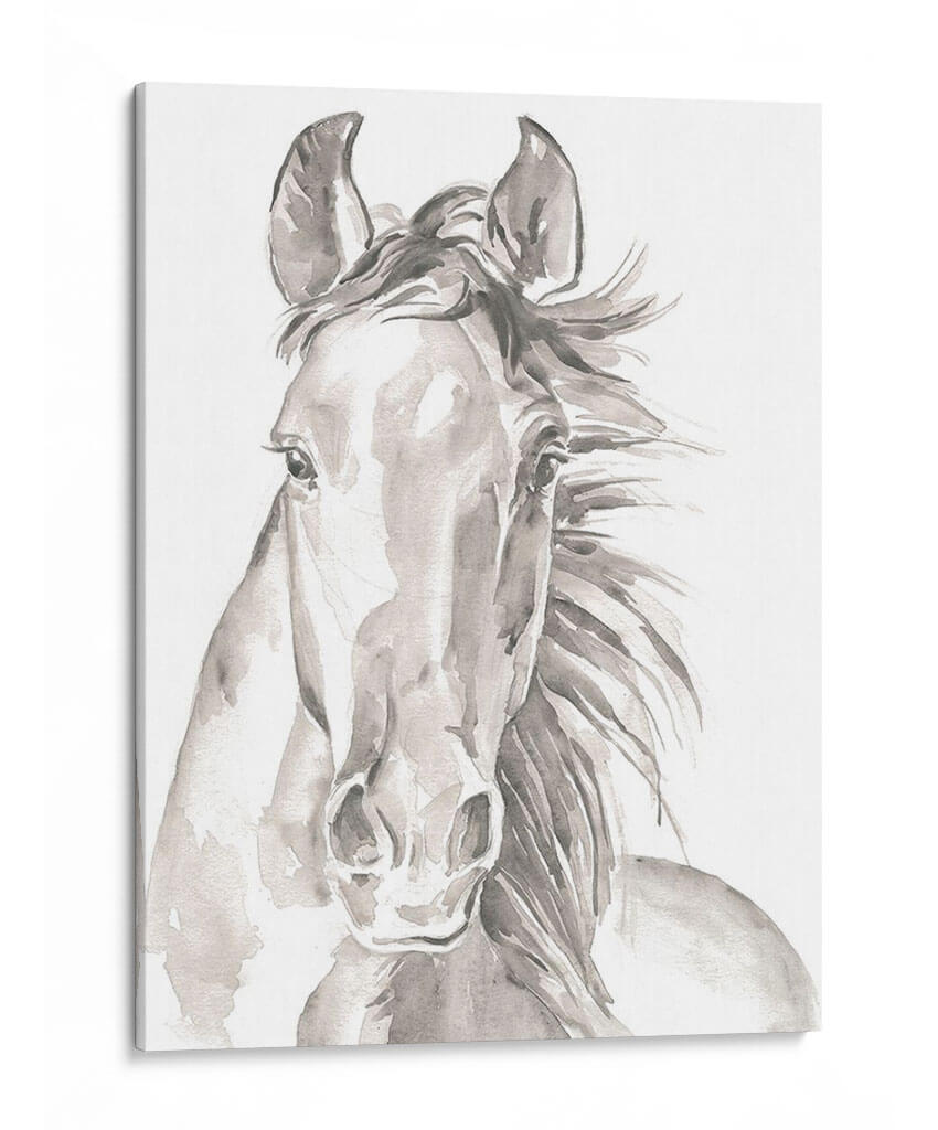 Caras De Granja Ii - Jennifer Paxton Parker | Cuadro decorativo de Canvas Lab