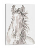 Caras De Granja Ii - Jennifer Paxton Parker | Cuadro decorativo de Canvas Lab