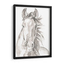 Caras De Granja Ii - Jennifer Paxton Parker | Cuadro decorativo de Canvas Lab