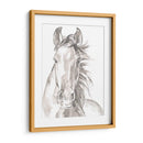 Caras De Granja Ii - Jennifer Paxton Parker | Cuadro decorativo de Canvas Lab