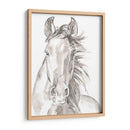 Caras De Granja Ii - Jennifer Paxton Parker | Cuadro decorativo de Canvas Lab