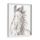 Caras De Granja Ii - Jennifer Paxton Parker | Cuadro decorativo de Canvas Lab