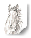 Caras De Granja Ii - Jennifer Paxton Parker | Cuadro decorativo de Canvas Lab