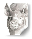 Faras De Granja Iii - Jennifer Paxton Parker | Cuadro decorativo de Canvas Lab