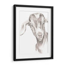 Caras De Granja Iv - Jennifer Paxton Parker | Cuadro decorativo de Canvas Lab