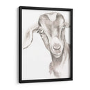 Caras De Granja Iv - Jennifer Paxton Parker | Cuadro decorativo de Canvas Lab