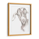 Caras De Granja Iv - Jennifer Paxton Parker | Cuadro decorativo de Canvas Lab