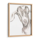 Caras De Granja Iv - Jennifer Paxton Parker | Cuadro decorativo de Canvas Lab