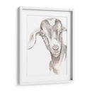 Caras De Granja Iv - Jennifer Paxton Parker | Cuadro decorativo de Canvas Lab