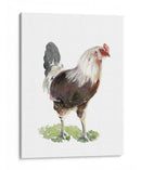 Baile De Pollo I - Jennifer Paxton Parker | Cuadro decorativo de Canvas Lab