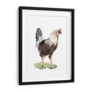 Baile De Pollo I - Jennifer Paxton Parker | Cuadro decorativo de Canvas Lab