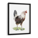 Baile De Pollo I - Jennifer Paxton Parker | Cuadro decorativo de Canvas Lab