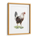 Baile De Pollo I - Jennifer Paxton Parker | Cuadro decorativo de Canvas Lab