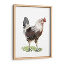 Baile De Pollo I - Jennifer Paxton Parker | Cuadro decorativo de Canvas Lab