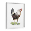 Baile De Pollo I - Jennifer Paxton Parker | Cuadro decorativo de Canvas Lab