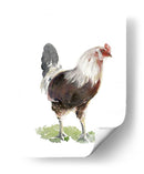 Baile De Pollo I - Jennifer Paxton Parker | Cuadro decorativo de Canvas Lab