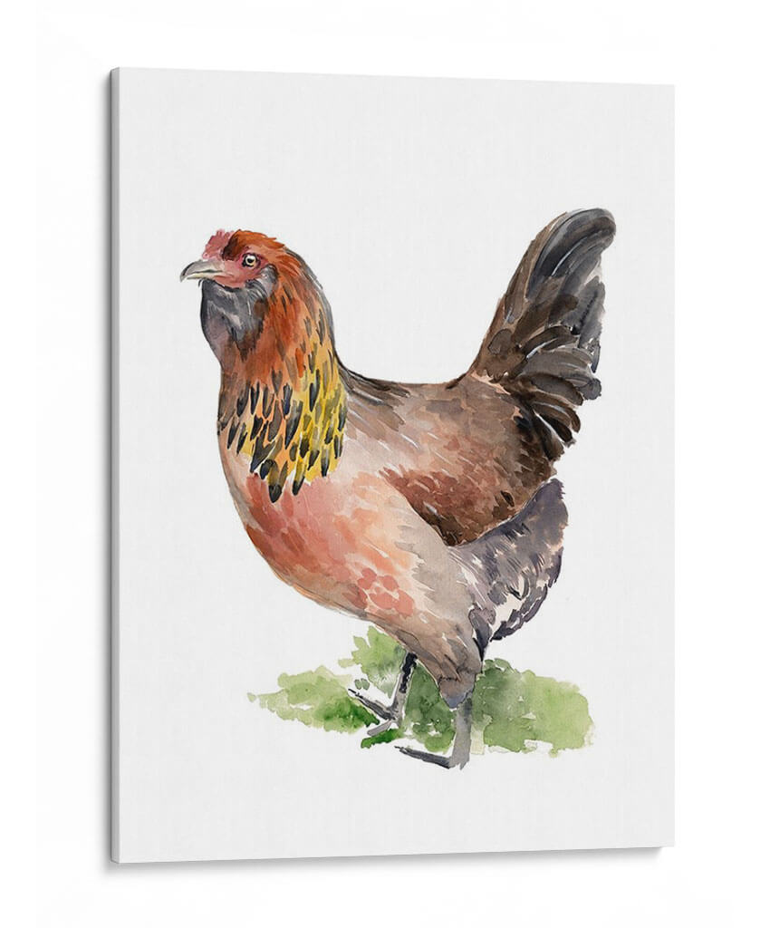 Danza De Pollo Ii - Jennifer Paxton Parker | Cuadro decorativo de Canvas Lab
