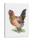 Danza De Pollo Ii - Jennifer Paxton Parker | Cuadro decorativo de Canvas Lab