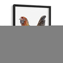 Danza De Pollo Ii - Jennifer Paxton Parker | Cuadro decorativo de Canvas Lab