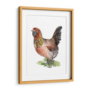 Danza De Pollo Ii - Jennifer Paxton Parker | Cuadro decorativo de Canvas Lab