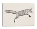 Fox Vuelo I - Victoria Borges | Cuadro decorativo de Canvas Lab