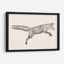 Fox Vuelo I - Victoria Borges | Cuadro decorativo de Canvas Lab