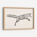 Fox Vuelo I - Victoria Borges | Cuadro decorativo de Canvas Lab