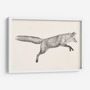 Fox Vuelo I - Victoria Borges | Cuadro decorativo de Canvas Lab