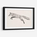 Fox Vuelo Ii - Victoria Borges | Cuadro decorativo de Canvas Lab
