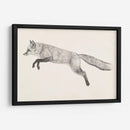 Fox Vuelo Ii - Victoria Borges | Cuadro decorativo de Canvas Lab