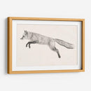 Fox Vuelo Ii - Victoria Borges | Cuadro decorativo de Canvas Lab
