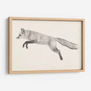 Fox Vuelo Ii - Victoria Borges | Cuadro decorativo de Canvas Lab