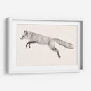 Fox Vuelo Ii - Victoria Borges | Cuadro decorativo de Canvas Lab