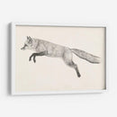 Fox Vuelo Ii - Victoria Borges | Cuadro decorativo de Canvas Lab