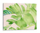 Peachy Palms Ii - Jennifer Paxton Parker | Cuadro decorativo de Canvas Lab