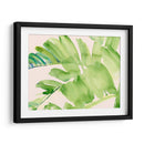Peachy Palms Ii - Jennifer Paxton Parker | Cuadro decorativo de Canvas Lab