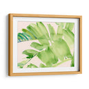 Peachy Palms Ii - Jennifer Paxton Parker | Cuadro decorativo de Canvas Lab