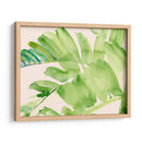 Peachy Palms Ii - Jennifer Paxton Parker | Cuadro decorativo de Canvas Lab