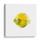 Discus Fish I - Emma Scarvey | Cuadro decorativo de Canvas Lab