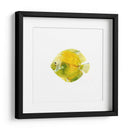 Discus Fish I - Emma Scarvey | Cuadro decorativo de Canvas Lab