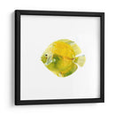 Discus Fish I - Emma Scarvey | Cuadro decorativo de Canvas Lab