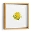 Discus Fish I - Emma Scarvey | Cuadro decorativo de Canvas Lab