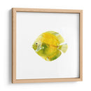 Discus Fish I - Emma Scarvey | Cuadro decorativo de Canvas Lab