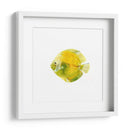 Discus Fish I - Emma Scarvey | Cuadro decorativo de Canvas Lab