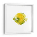Discus Fish I - Emma Scarvey | Cuadro decorativo de Canvas Lab